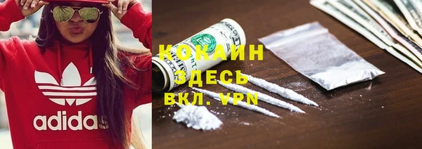 прущий лед Алзамай