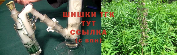 прущий лед Алзамай